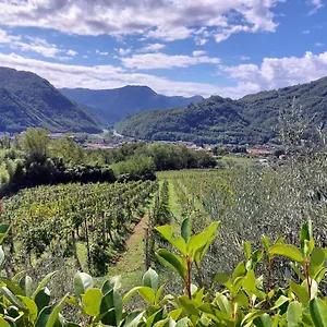 https://tenuta-la-fratta-apartments.it-tuscanyhotel.com